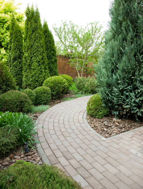 istock Detail of a botanical garden. 1358114449