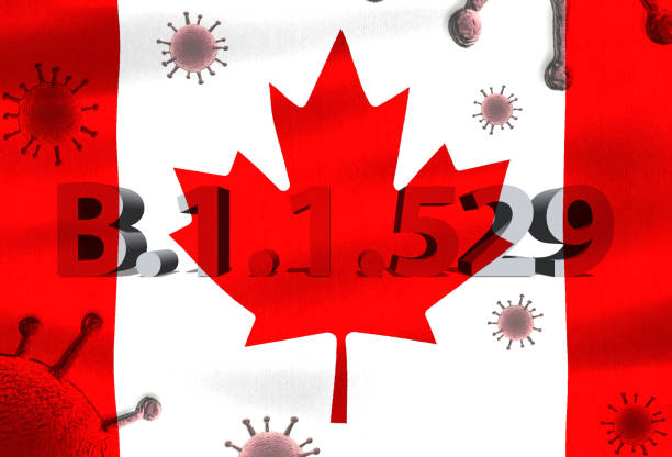 istock 3D-Illustration of the corona variant Omicron on a Canada flag. 1358114547