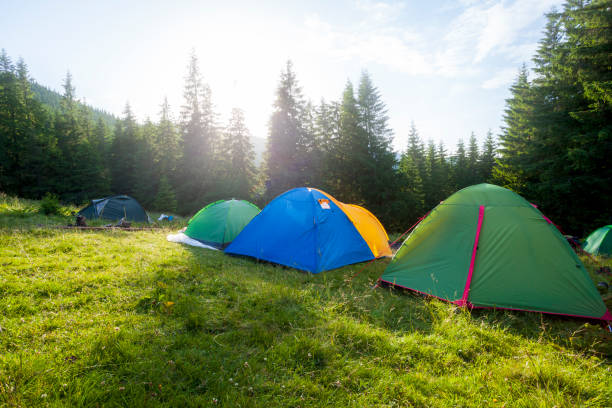 istock Tents in the forest at sunset 1358114666
