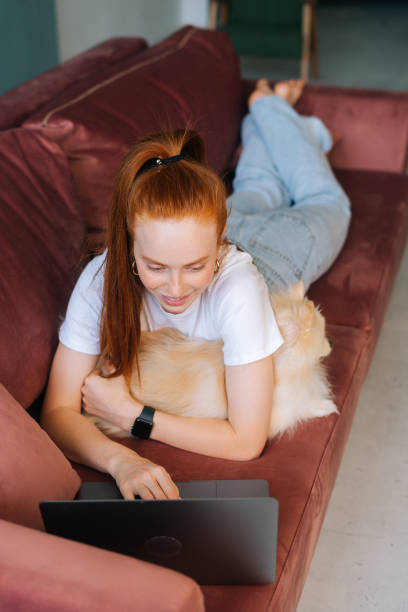 vertikale aufnahme der glücklichen jungen frau, die auf einem bequemen sofa mit weißem hübschem spitz-hund liegt und einen laptop im wohnzimmer benutzt. - spitz type dog fotos stock-fotos und bilder