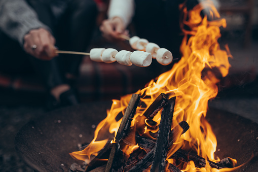 Female hands roast the marshmallow strung on sticks over an open fire of bonfire. Closeup.