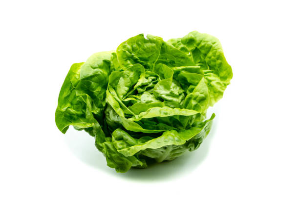 istock Green lettuce isolated on white background 1358116109