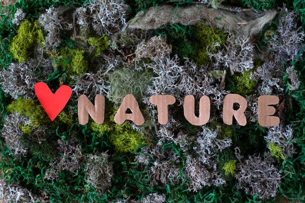 Love Nature message on a green moss ground Still life with the text "Love Nature" made of cardboard  on a green background climate justice photos stock pictures, royalty-free photos & images