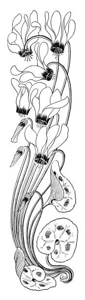 Floral ornament with Cyclamen decorative art nouveau 1896 Cyclamen is a genus of 23 species of perennial flowering plants in the family Primulaceae. Cyclamen species are native to Europe and the Mediterranean Basin east to the Caucasus and Iran, with one species in Somalia.
Art Nouveau is an international style of art, architecture, and applied art, especially the decorative arts, known in different languages by different names: Jugendstil in German, Stile Liberty in Italian, Modernisme català in Catalan, etc. In English it is also known as the Modern Style. The style was most popular between 1890 and 1910 during the Belle Époque period that ended with the start of World War I in 1914.
Original edition from my own archives
Source : Jugend Band 1 - 1896
Drawing : O. Eckmann ornamental grass white background stock illustrations