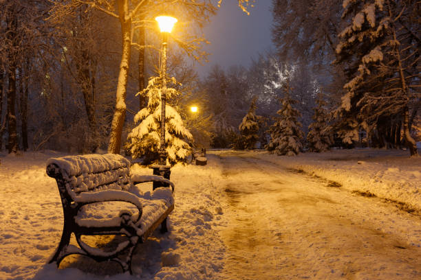 istock Beautiful winter landscape. Night park in winter. 1358125375