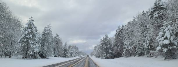 istock Snow Filled Scene on the Road with Tall Evergreens 1358127015