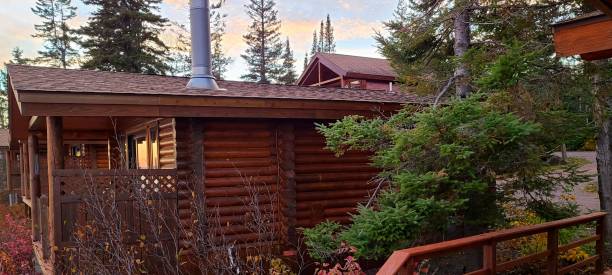 Log Cabin Nestled Near Tall Pine Trees stock photo