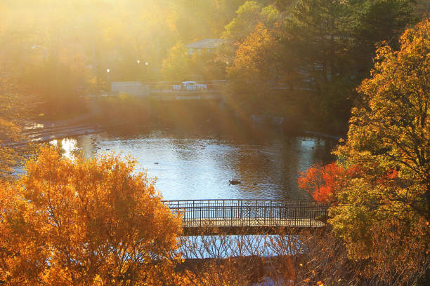 istock Autumn sunset in the Park 1358129647