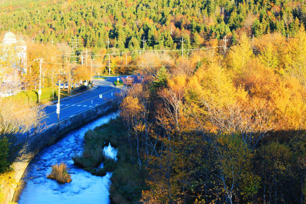 the waterford river valley, autumn. - saint johns river imagens e fotografias de stock