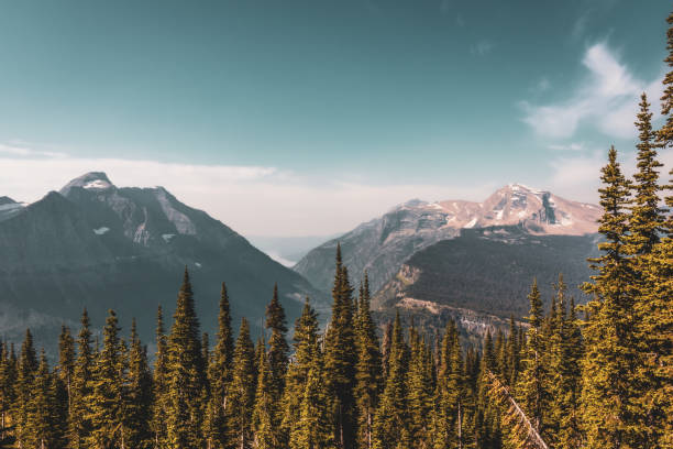 istock Hiking through epic mountain ranges in Montana 1358130291