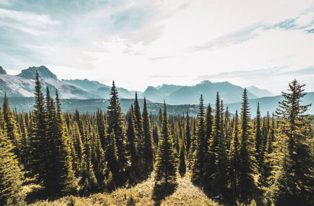 istock Hiking through epic mountain ranges in Montana 1358130349