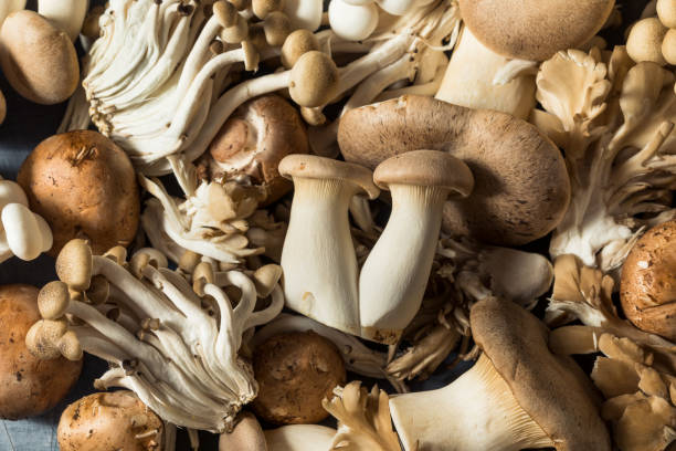 istock Raw Organic Assorted Gourmet Mushrooms 1358133779