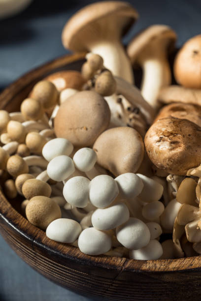 istock Raw Organic Assorted Gourmet Mushrooms 1358133784