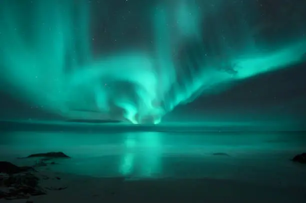 Aurora borealis over the sea. Northern lights in Lofoten islands, Norway. Starry sky with polar lights. Night landscape with aurora, sea with blurred water and sky reflection, sandy beach. Aurora