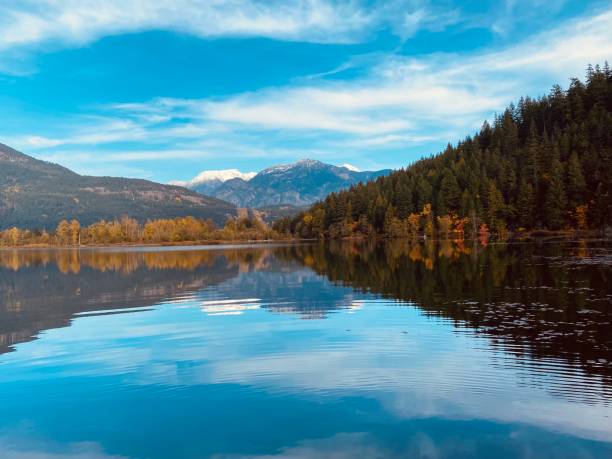 istock Beauty of nature 1358134714