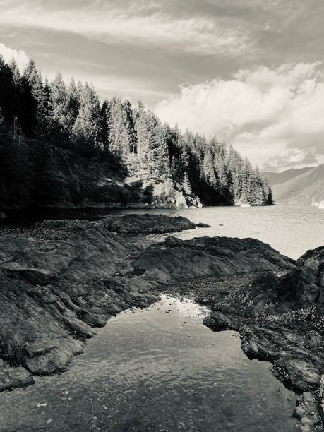 istock Beauty of nature 1358136661
