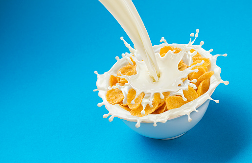 Corn flakes with pouring milk isolated on blue background