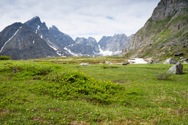 la belle vallée de la rivière middle sakukan avec en toile de fond la chaîne de montagnes kodar. territoire du transbaïkal, parc national de kodar. - russia river landscape mountain range photos et images de collection