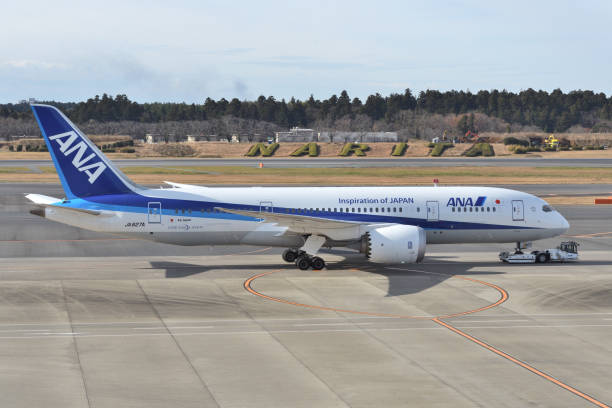 50+ All Nippon Airways (Ana) Boeing 787 8 Stock Photos, Pictures