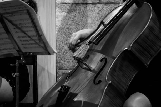 istock Private bass concerto in black and white 1358142734