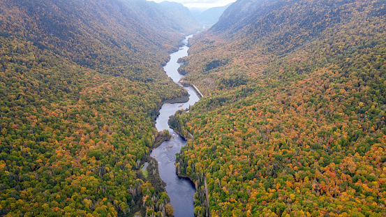 Aerial View of Boreal Forest Nature and River in Autumn Season
