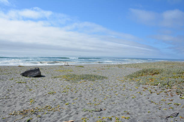 istock Southern Oregon Coast 3 1358146319