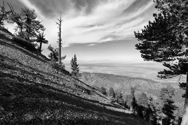 Black and white view of the Mojave desert from the Mt Baden-Powell trail in the San Gabriel Mountains area of Los Angeles County, California.