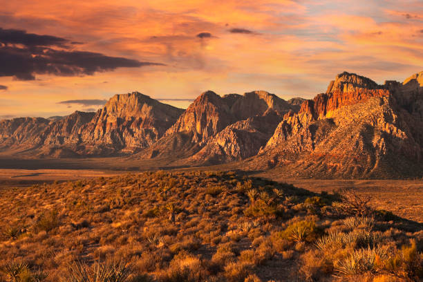 pustynny świt nevady z dramatycznym niebem - nevada desert landscape cactus zdjęcia i obrazy z banku zdjęć