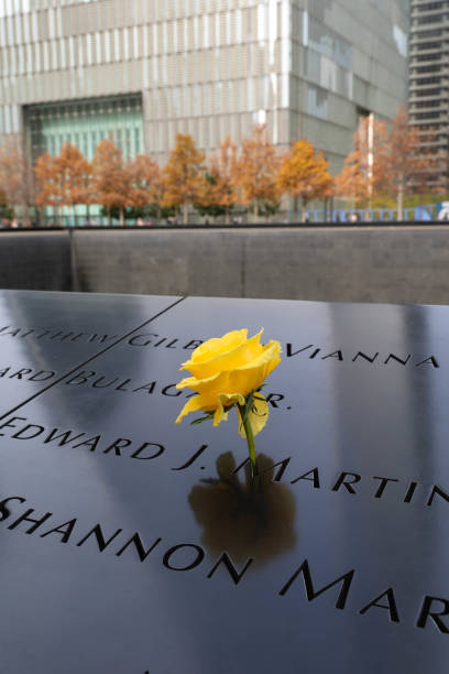 World Trade Center Memorial New York, NY - November 11 2021: Yellow rose at World Trade Center Memorial 2001 stock pictures, royalty-free photos & images