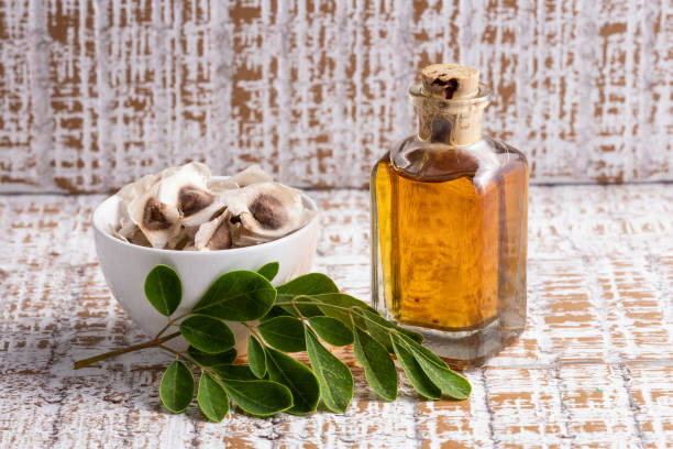 moringa oleifera - aceite de moringa, hojas y semillas - зехтин с трюфел fotografías e imágenes de stock