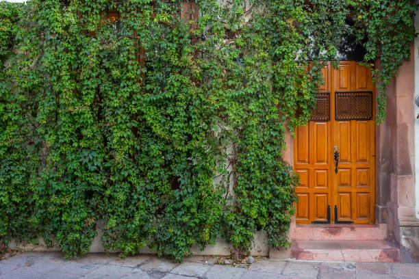 istock Facade of house with green leaves 1358163077