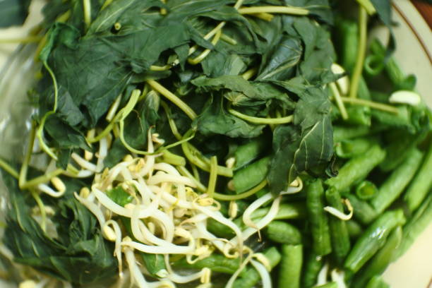 close up photo of sweet potato leaves, long beans and boiled bean sprouts for making pecel rice, a typical food from East Java, Indonesia