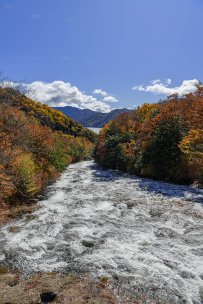 istock Ryuzu Falls in Nikko National Park 1358164223