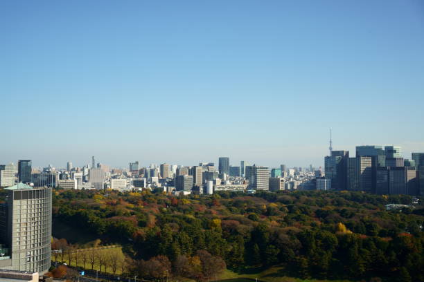 istock Autumn and Relax in Business Skyscrapers 1358167528