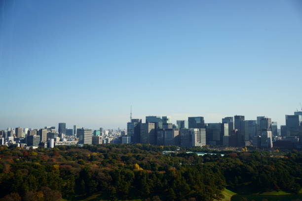 istock Autumn and Relax in Business Skyscrapers 1358167530