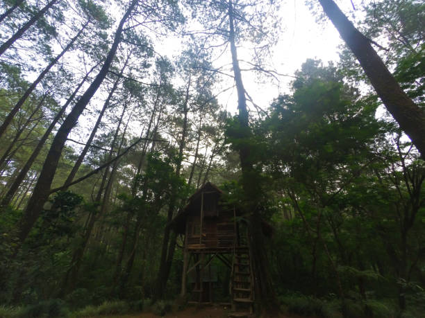 istock Stage Hut - stock photo 1358173912