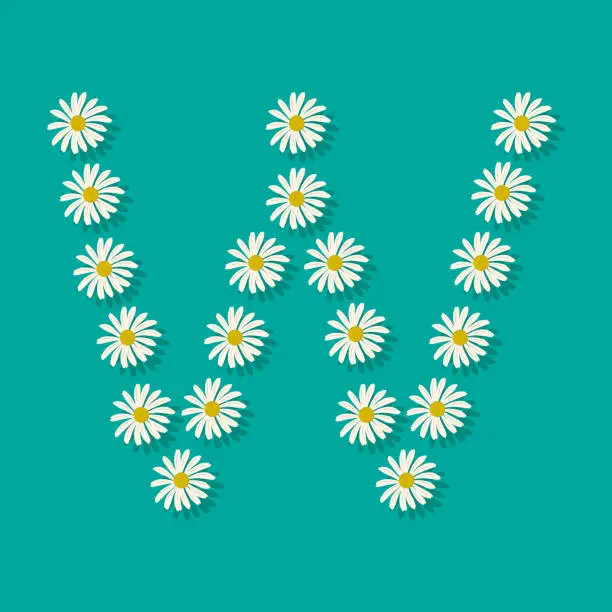 Vector illustration of Letter W from chamomile