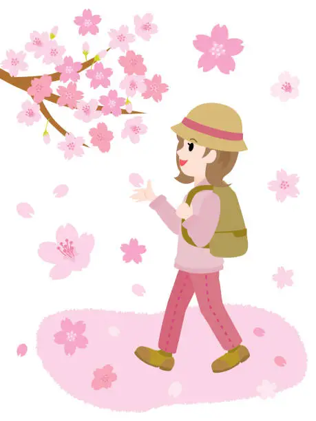 Vector illustration of Illustration of the woman doing cherry blossom viewing in spring.