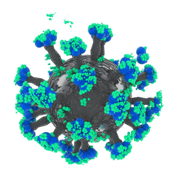 istock covid omicron virus covid-19 - 3d rendering 1358180807
