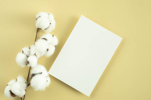 istock Invitation to beige background Mockup 1358181654