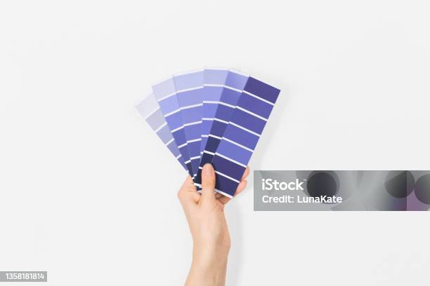 Color Swatches With Color Of The Year 2022 In The Hand Very Peri Color Trend Palette Top View Flat Lay Stock Photo - Download Image Now