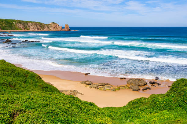 istock Cape Woolamai Walk - Phillip Island 1358186234