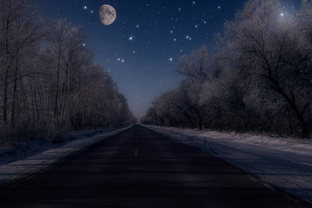 forest stars moon sky night snow road stock photo