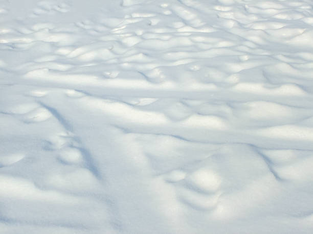istock Shadows  and patterns on the surface of snow 1358192297