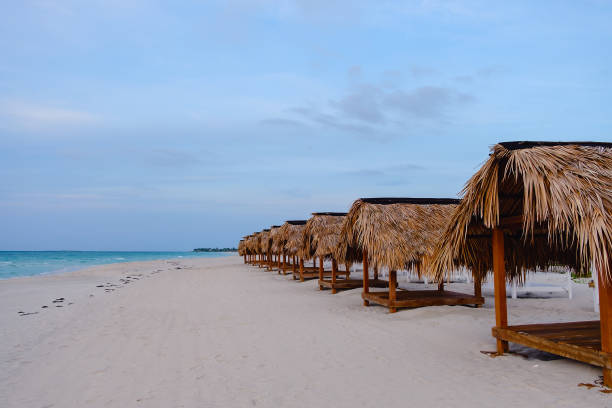istock Beach chairs and umbrellas at pre-sunset time on an empty beach 1358199193