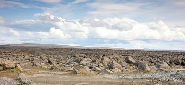Old lava field covered with green moss, west Iceland