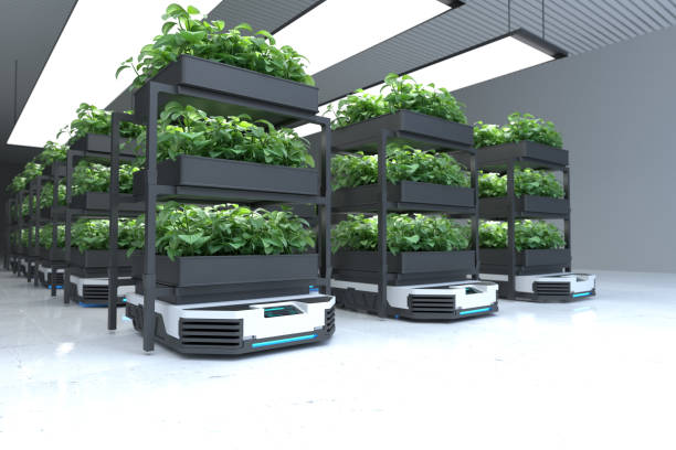 istock Automatic transport robot transporting plants, Smart robotic farmers concept 1358201005