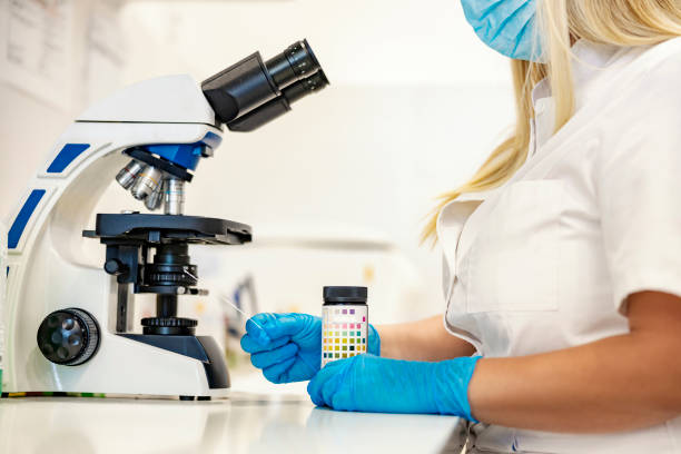 istock Microbiology and science. A scientist sitting in a lab and looking at changes on a sample. In front of her is a microscope she is going to use. 1358201283