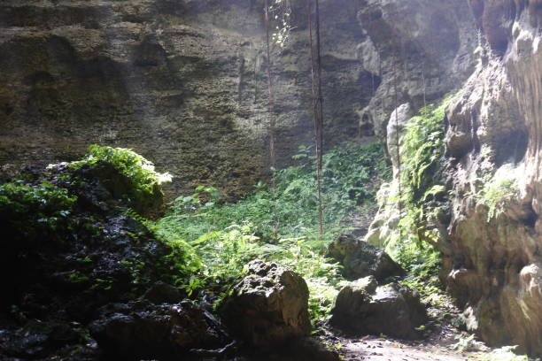 istock the beauty of the Terawang cave with the sunlight entering it, Blora, Central Java 1358202352
