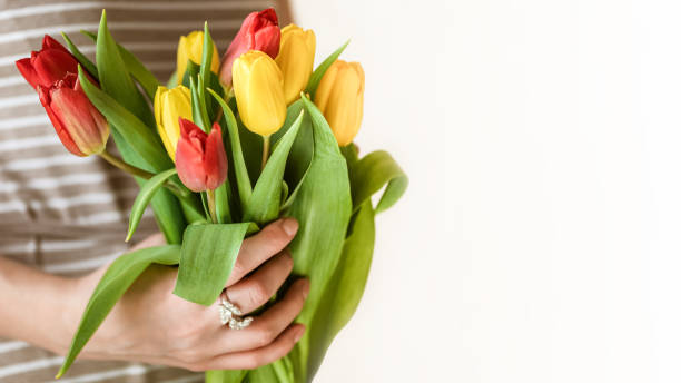 istock Bunch of fresh tulips in woman's hands, close up 1358204080